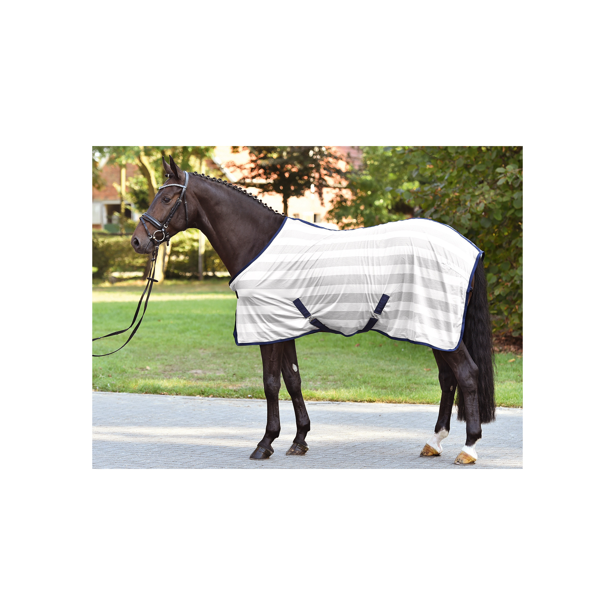 Busse STRIPE TRANSPORT RUG Equestrian Shop