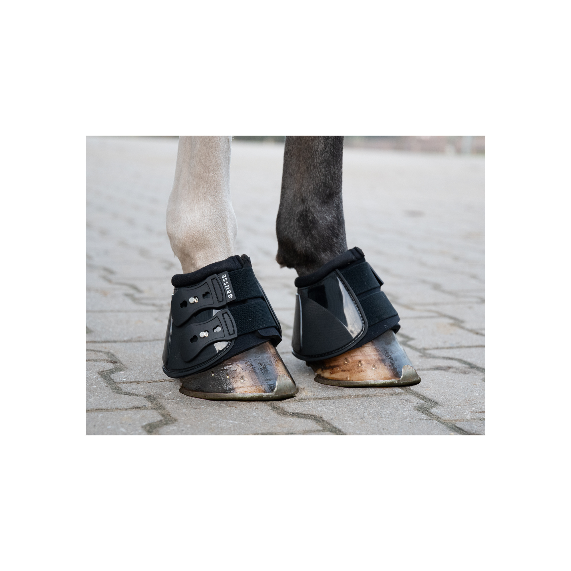 Do Czego Służą Kaloszki Dla Konia Busse KALOSZE DLA KONIA PRO-STUD - EQUISHOP Sklep jeździecki