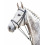 Prestige Italia PRESTIGE ITALIA E46 GOGUE - 1 in category: Martingales for horse riding