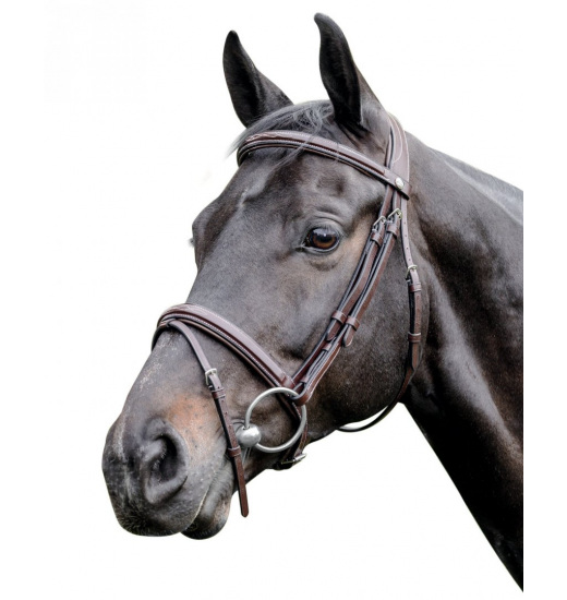 PRESTIGE ITALIA E83 LEATHER BRIDLE - 1 in category: Snaffle bridles for horse riding