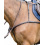 PRESTIGE ITALIA ELASTIC BRESTPLATE D42 - 1 in category: Breastplates for horse riding