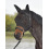 Busse BUSSE FLY MASK FLY SAVER BLACK