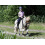 BUSSE DERKA TRENINGOWA MOSKITO II - 6 w kategorii: Derki treningowe do jazdy konnej