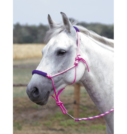 BUSSE ROPE HALTER-SET TWO-TONE PINK