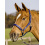 BUSSE HEADCOLLAR SOLID SOFT NAVY