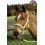 Busse BUSSE HEADCOLLAR SOLID SOFT GREEN