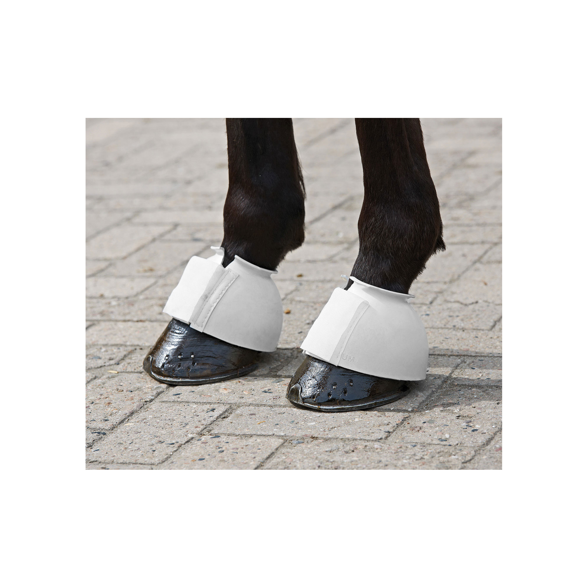 BUSSE BELL BOOTS ISLAND, WEIGHTED 28GR Equestrian Shop