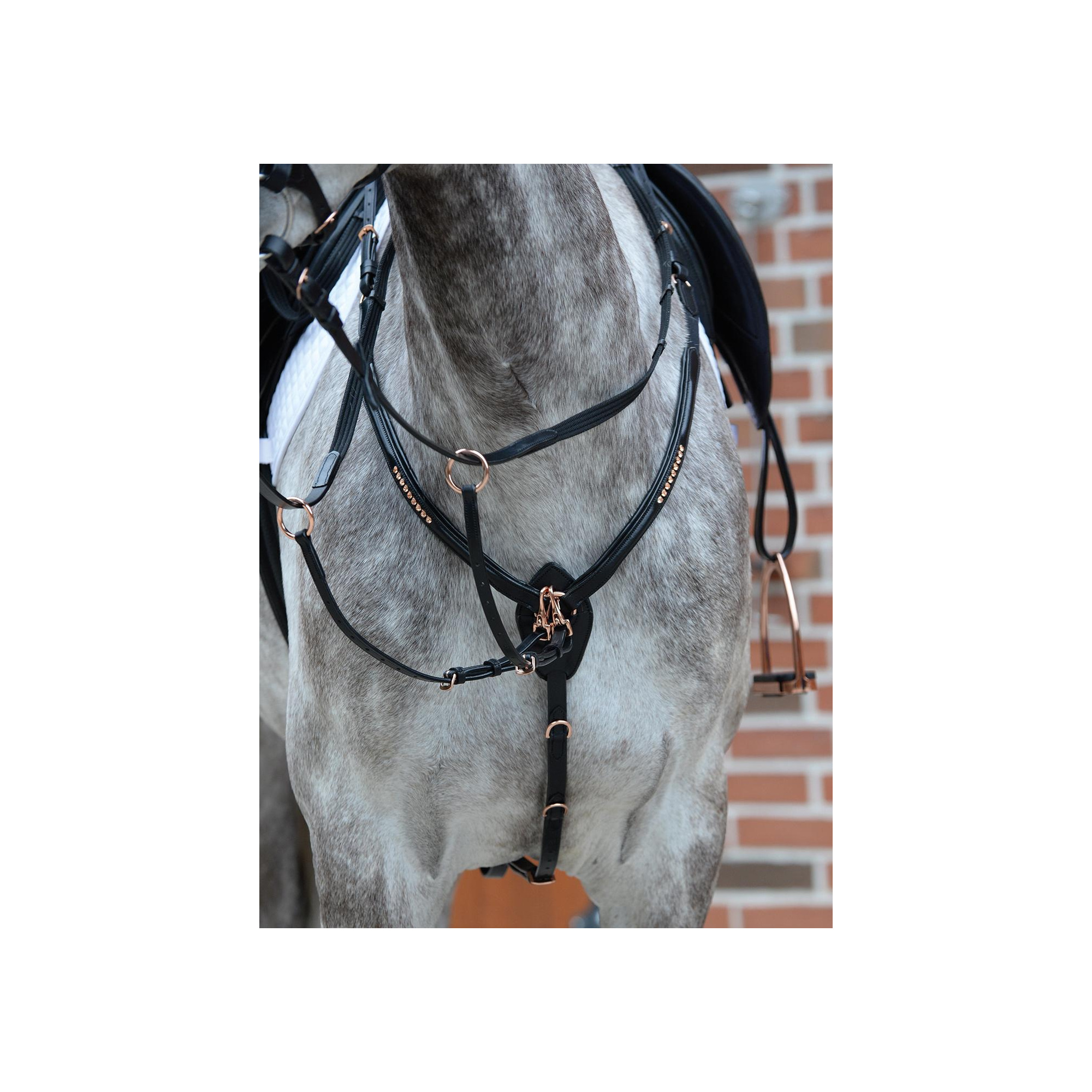 Busse BREASTPLATE BREDA Equestrian Shop