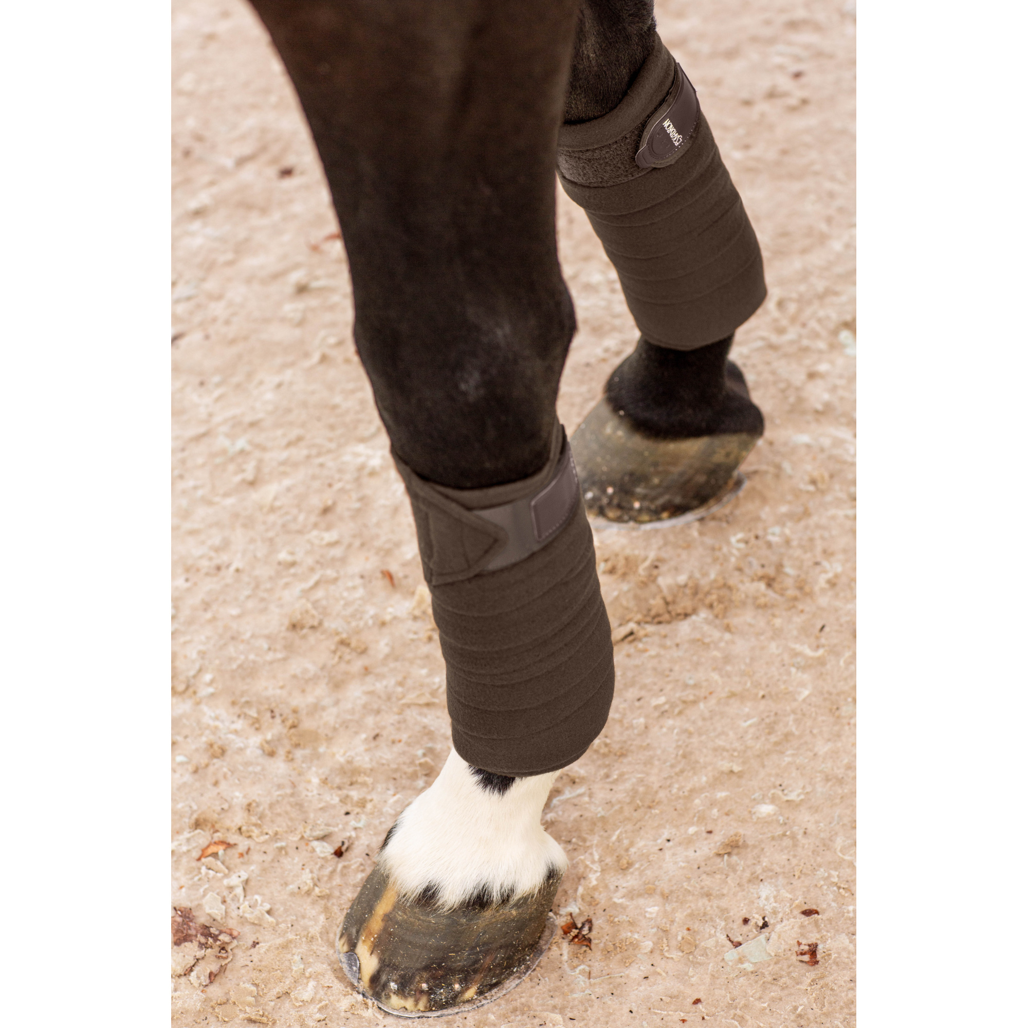 ESKADRON FLEECE HORSE BANDAGES CLASSIC SPORTS Equestrian Shop