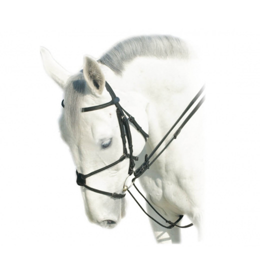 PRESTIGE ITALIA E5LEATHER REIN - 1 in category: Leather reins for horse riding