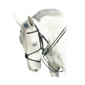 PRESTIGE ITALIA E5LEDERZÜGEL - 1 in der Kategorie: Lederzügel