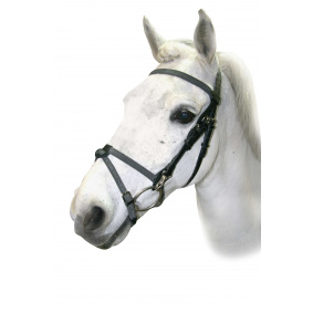 PRESTIGE ITALIA OGŁOWIE E6Z GUMOWYMI WODZAMI - 1 w kategorii: Ogłowie do jazdy konnej