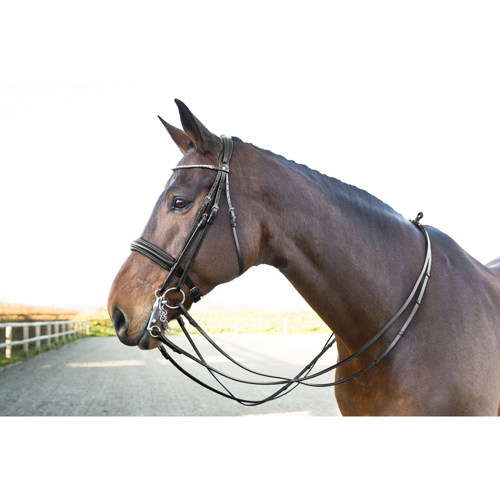 HORZE VIENA WEYMOUTH BRIDLE Equestrian Shop