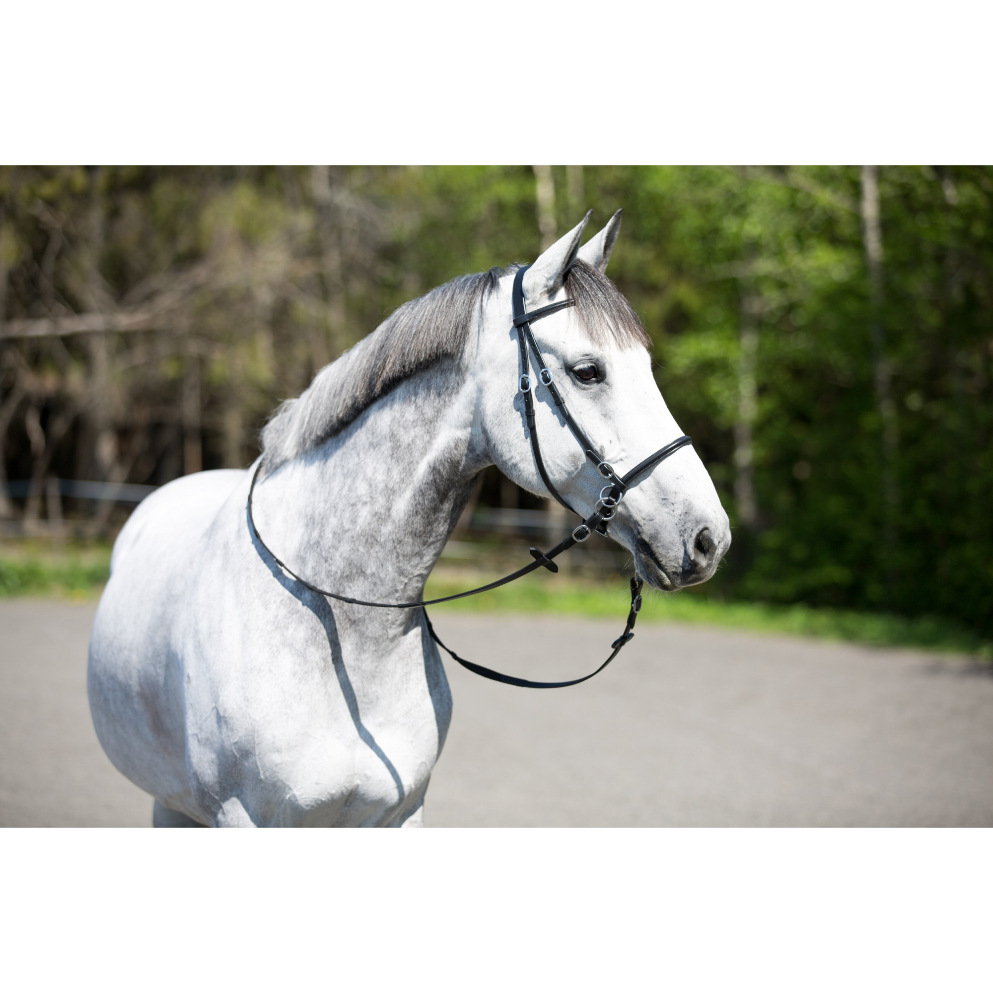 HORZE BITLESS BRIDLE - EQUISHOP Equestrian Shop