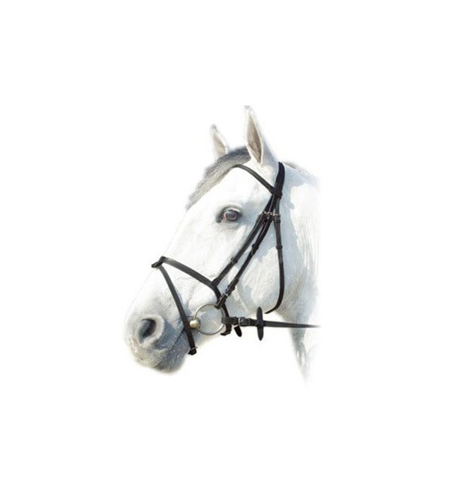 Prestige Italia PRESTIGE ITALIA OGŁOWIE E39 Z GUMOWYMI WODZAMI