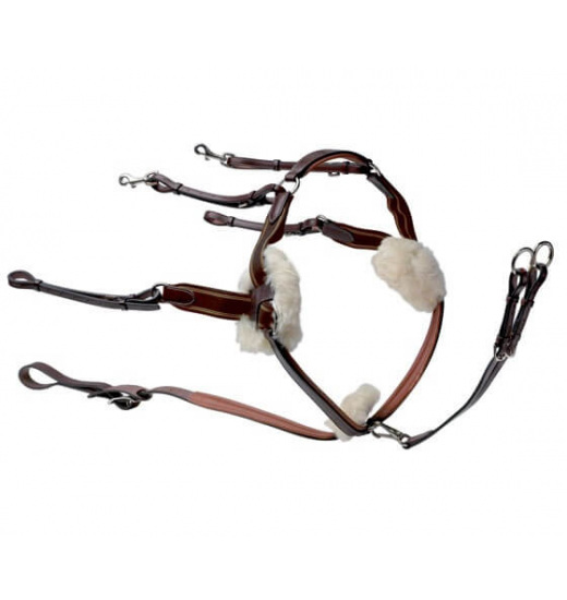 D27 FIVE-POINT BREASTPLATE D27 FIVE-POINT BREASTPLATE