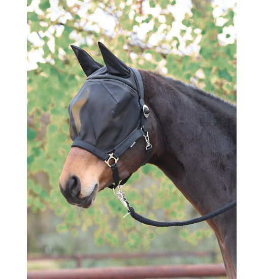 BUSSE HEADCOLLAR FAST BLACK