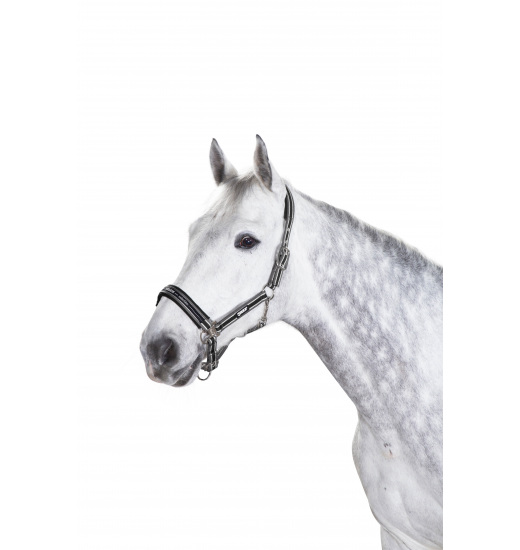 Eskadron ESKADRON PIN BUCKLE HEADCOLLAR