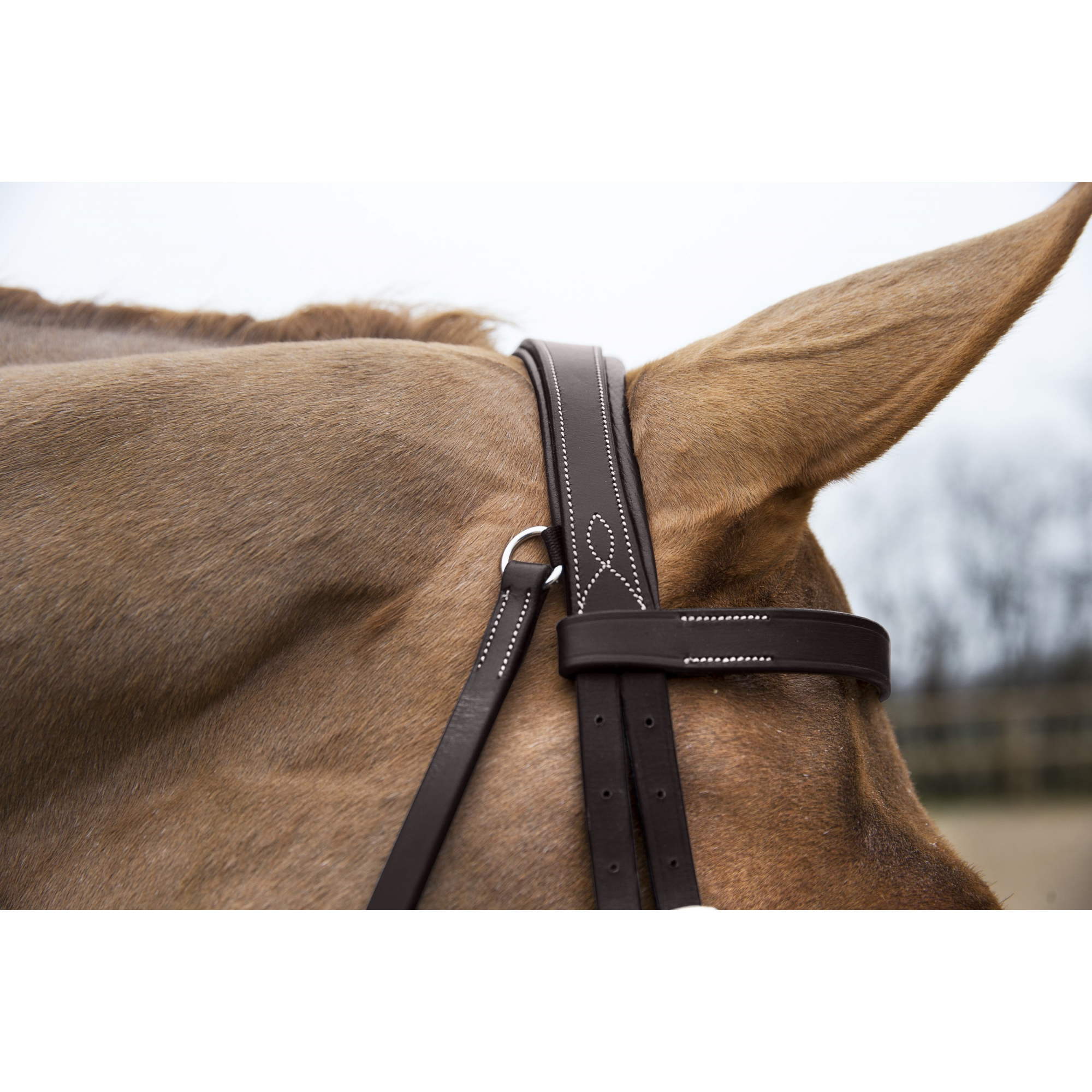 HORZE SPARTA HUNTER BRIDLE Equestrian Shop