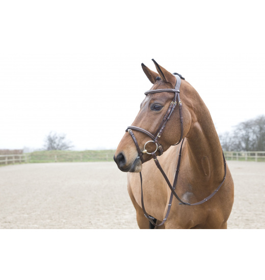 HORZE CONSTANCE PADDED FLASH BRIDLE BROWN