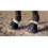 Horze HORZE SIGNATURE BELL BOOTS - 2 in category: Bell boots for horse riding