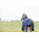 Horze HORZE AVALANCHE 1200D LITE/MEDIUM RAIN TURNOUT WITH FLEECE - 6 in category: Turnout rugs for horse riding