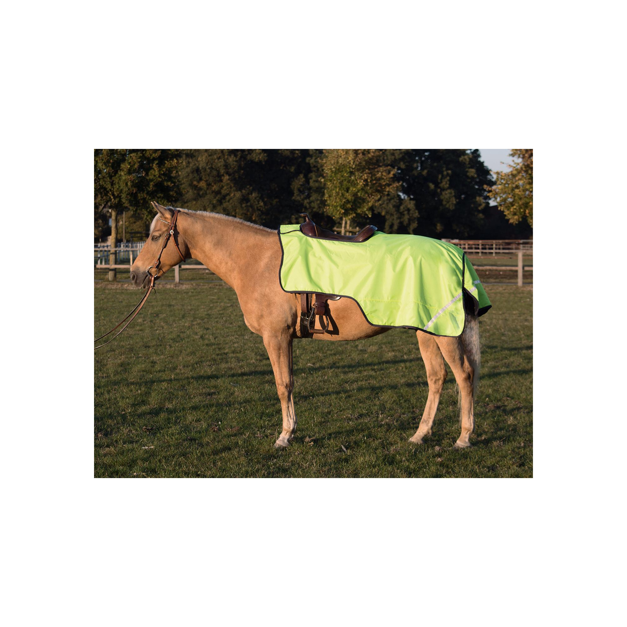 BUSSE SHINE WESTERN EXERCISE RUG Equestrian Shop