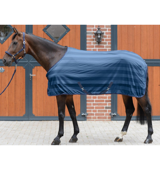 BUSSE STRIPE TRANSPORT FLY SHEET - 1 in category: Travel rugs for horse riding