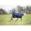 HORZE AVALANCHE 1200D MEDIUM WEIGHT 150G HIGH NECK RAIN TURNOUT NAVY