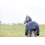 HORZE AVALANCHE 1200D MEDIUM WEIGHT 150G HIGH NECK RAIN TURNOUT - 3 in category: Rainproof rugs for horse riding