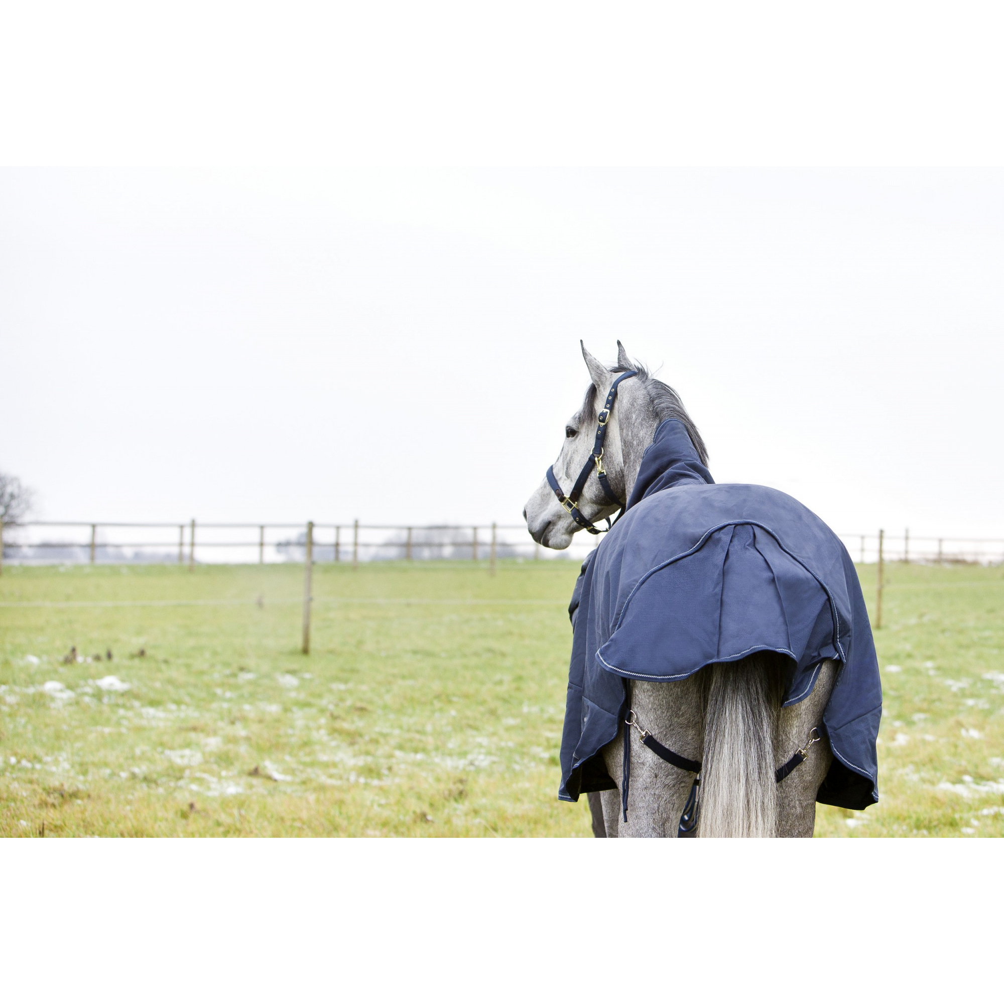 Horze Glasgow Anti-Slip Stable Horse Blanket (100g Fill) - Dark