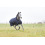 Horze HORZE AVALANCHE 1200D MEDIUM WEIGHT 150G HIGH NECK RAIN TURNOUT - 6 in category: Rainproof rugs for horse riding