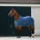 B Vertigo B VERTIGO VIRGINIA SUMMER STABLE RUG - 2 in category: Stable rugs for horse riding