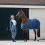 B Vertigo B VERTIGO VIRGINIA SUMMER STABLE RUG - 3 in category: Stable rugs for horse riding