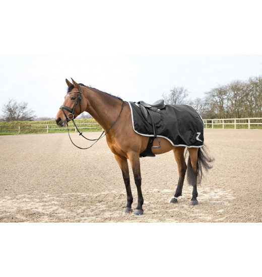 HORZE WEATHERTREK RIDING SHEET - 1 in category: Excercise sheets for horse riding