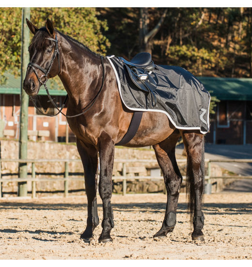 HORZE PROTREK RIDING RUG WITH FLEECE - 1 in category: Excercise sheets for horse riding