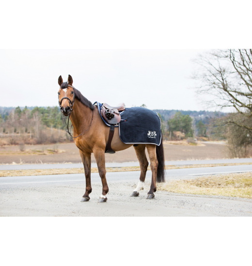 B VERTIGO CONCORD EXERCISE RUG - 1 in category: Excercise sheets for horse riding