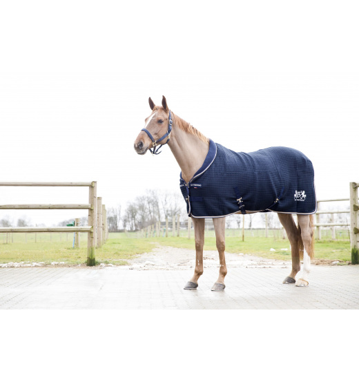 B VERTIGO THEO THERMO RUG - 1 in category: Turnout rugs for horse riding