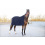 Horze HORZE VAIL SQUARE WOOL COOLER - 1 in category: Sweat rugs for horse riding