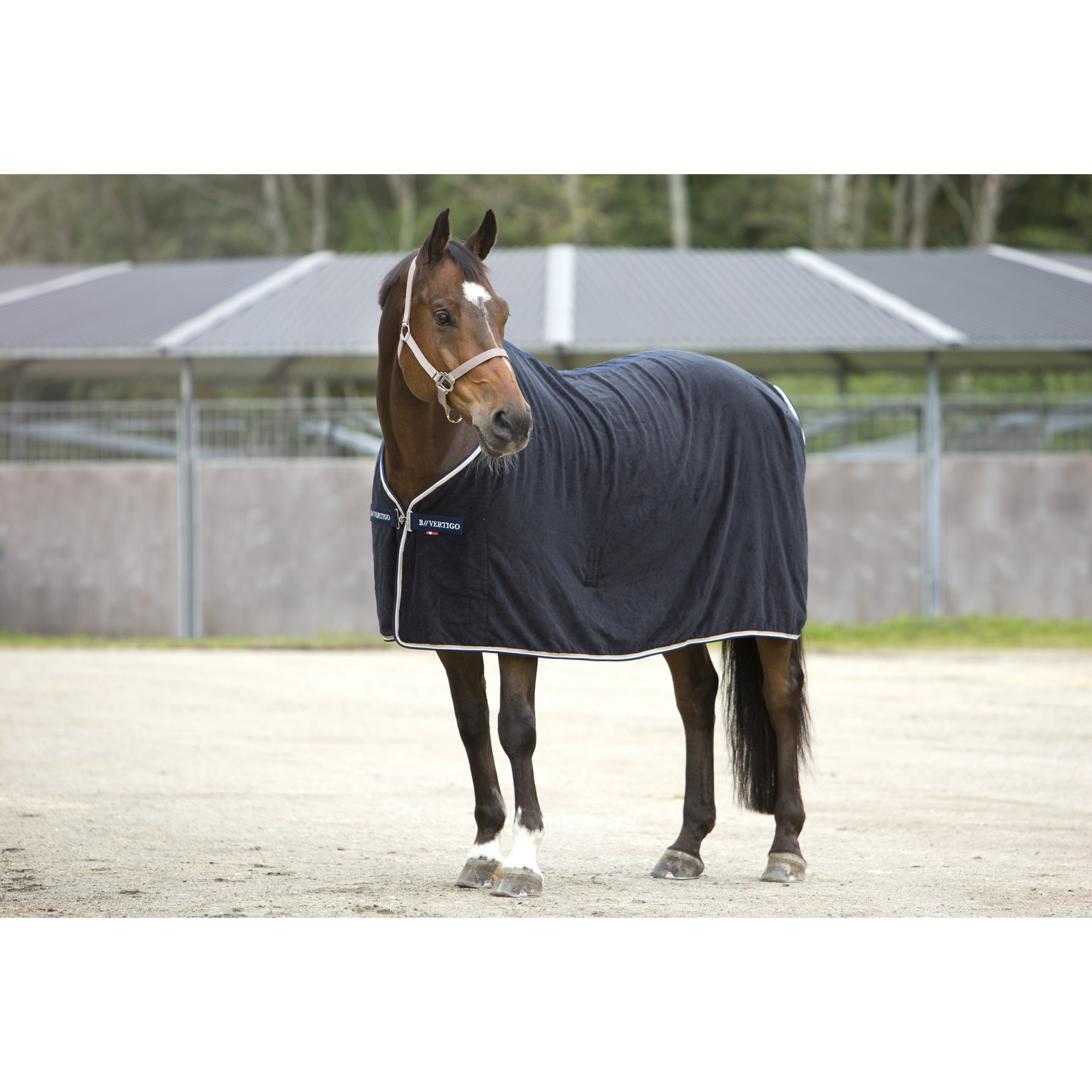 Riders by Dover Saddlery Supreme Turnout Sheet 