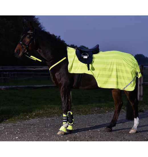 BUSSE REFLECTION EXERCISE RUG YELLOW