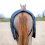 B VERTIGO COREY STABLE RUG 250G - 4 in category: Stable rugs for horse riding