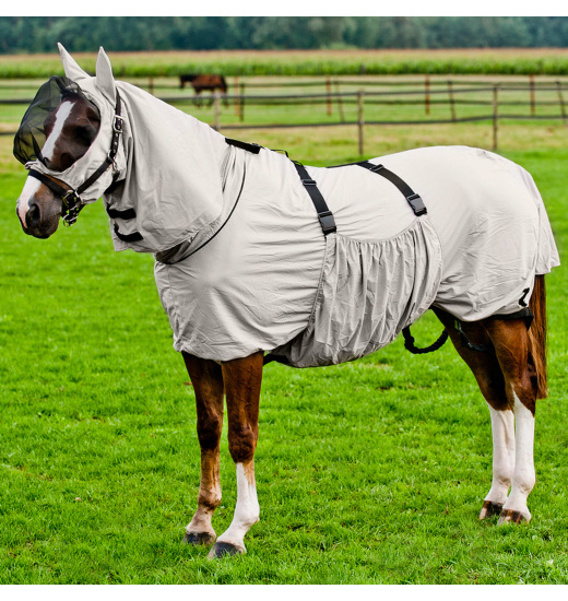 HORZE ECZEMA RUG - 1 in category: Mesh rugs & antifly rugs for horse riding
