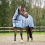Horze HORZE FREJA COMBO FLY SHEET - 1 in category: Mesh rugs & antifly rugs for horse riding