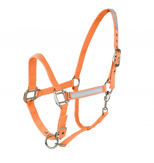 HORZE REFLECTIVE HALTER - 1 in category: Halters for horse riding