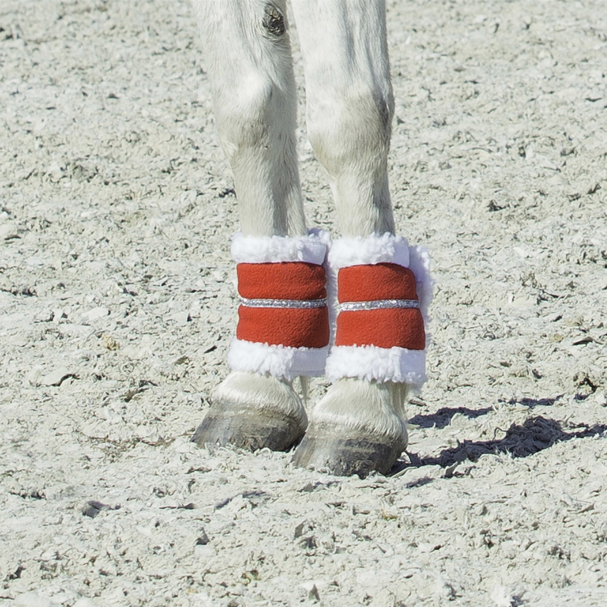 HORZE CHRISTMAS LEG WRAPS - EQUISHOP Equestrian Shop