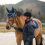Horze HORZE LINO UNISEX CLUB JACKET - 2 in category: Riding jackets for horse riding