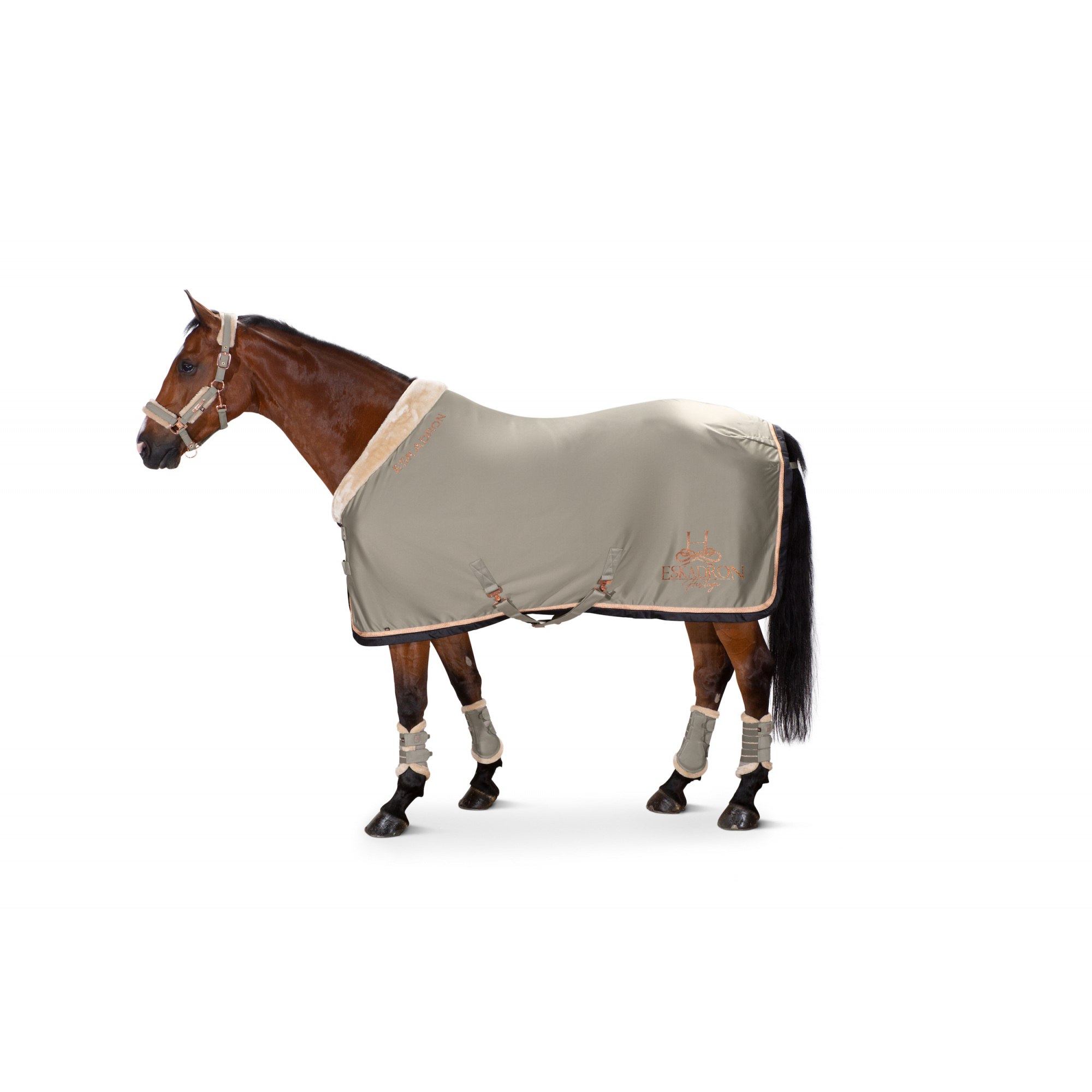 ESKADRON SOFTSHELL FAUXFUR COLLAR SWEAT RUG HERITAGE