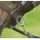 BUSSE RIDING HEADCOLLAR - 3 in category: Halters for horse riding