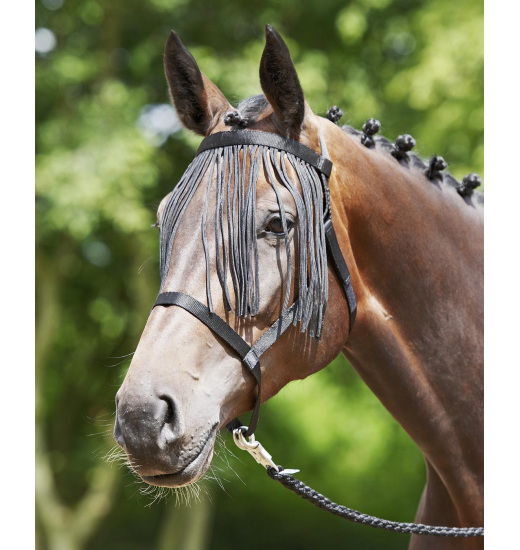 BUSSE WEIDE-FRANSEN HEADCOLLAR BLACK